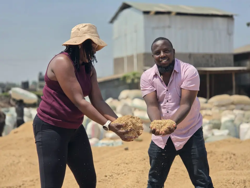 Lucy Nyoike and Zecharia Mwangi hold out handfuls of rice husk in a yard of husk and white sacks, with a mill building behind them.